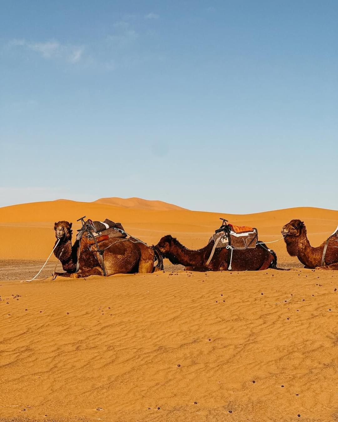 Exquisite Morocco Desert Merzouga Exterior foto
